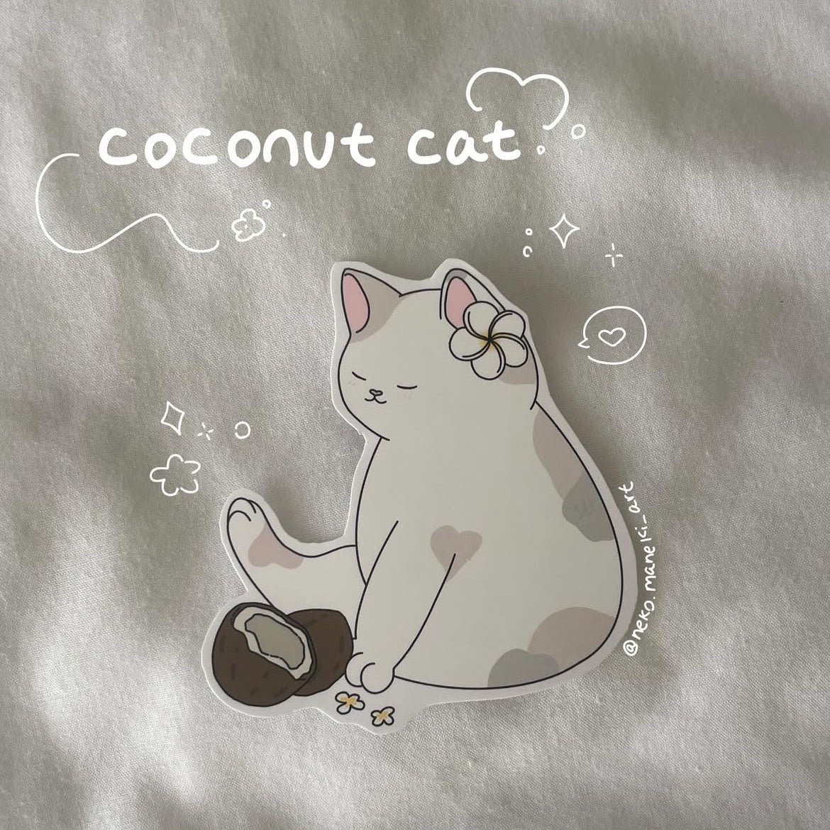 Coconut Cat