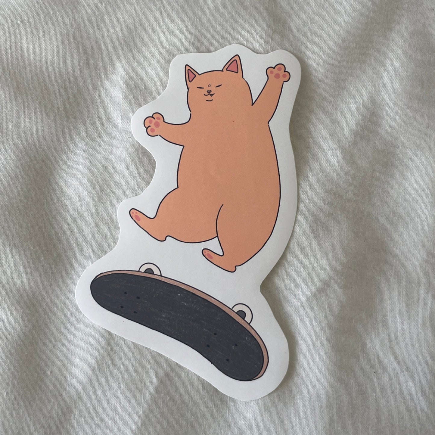 Skate Board Cat