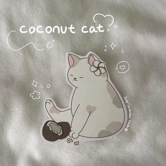 Coconut Cat